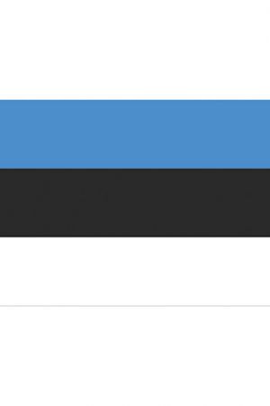 Fahne Estland
