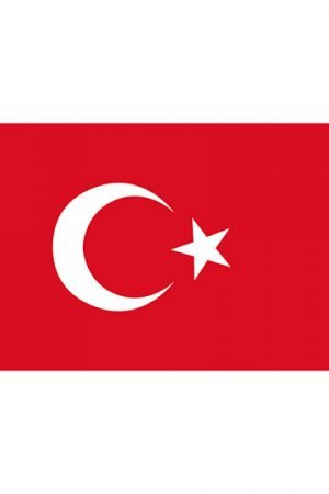 Fahne Türkei