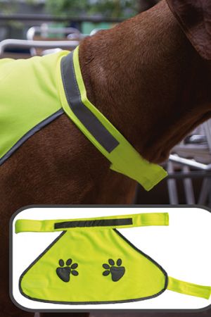 Stretchy Hi-Vis Safety Vest For Dogs Buenos Aires