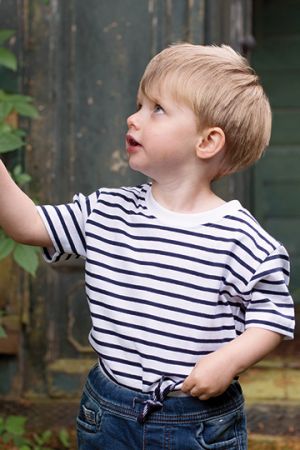 Short Sleeved Stripe T Shirt