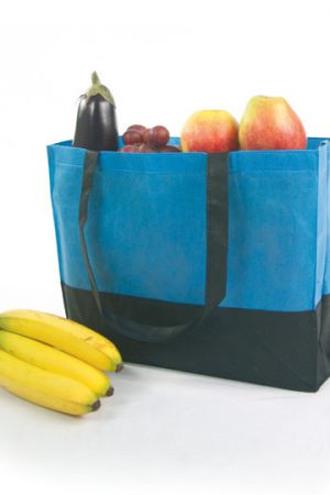 PP Shopper Bag DUO