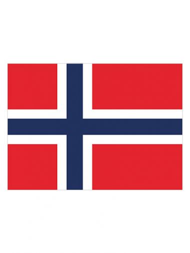 Fahne Norwegen