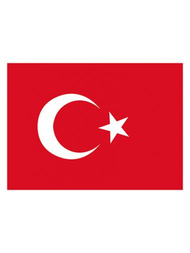 Fahne Türkei